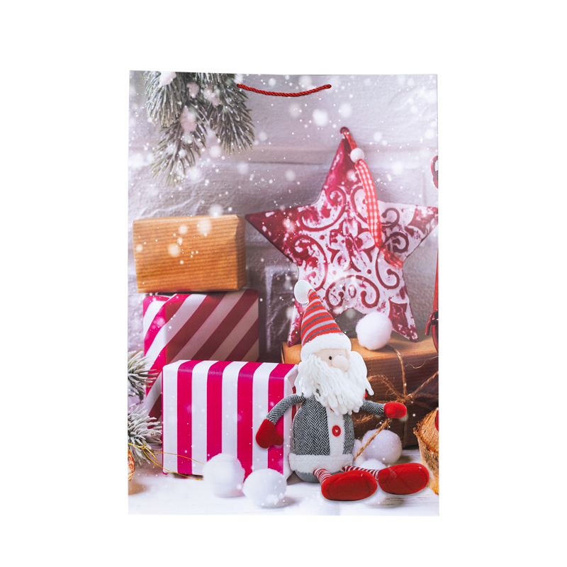 Подарочный пакет Accessories Новый Год CL419-6 72*50*18 см 1 шт