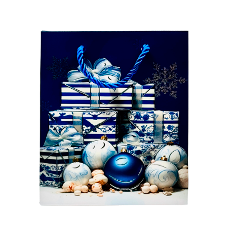 Подарочный пакет Accessories SD50120-56 12*14*6 см 1 шт