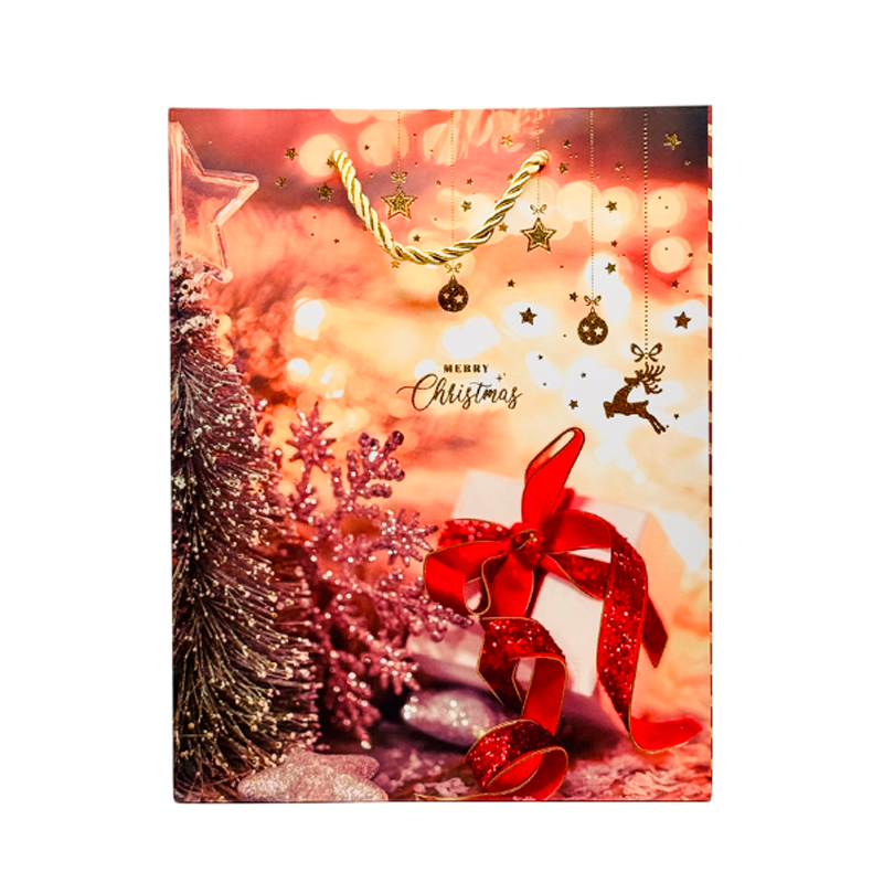 Подарочный пакет Accessories BK50120-40 18*23*10 см 1 шт