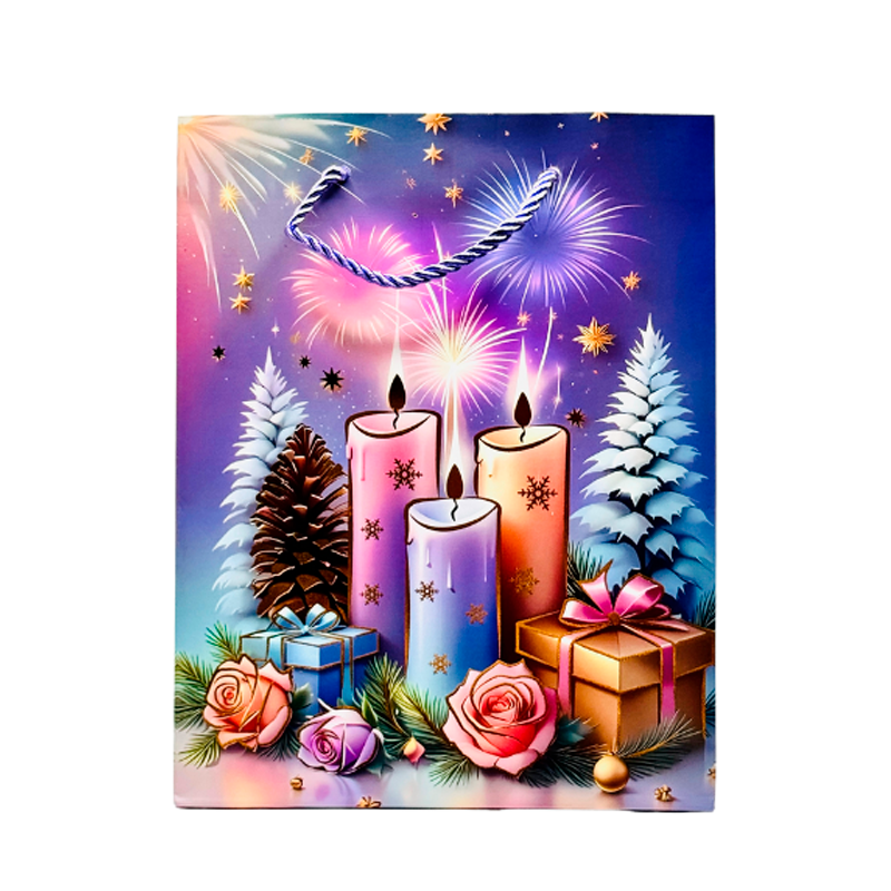 Подарочный пакет Accessories BK50120-73 18*23*10 см 1 шт