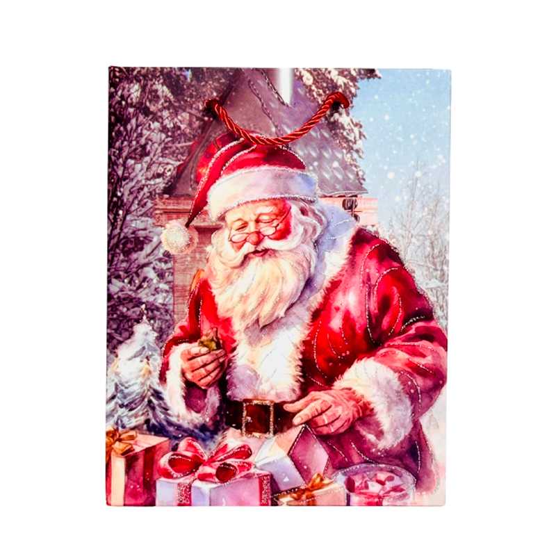 Подарочный пакет Accessories BK50120-139 18*23*10 см 1 шт