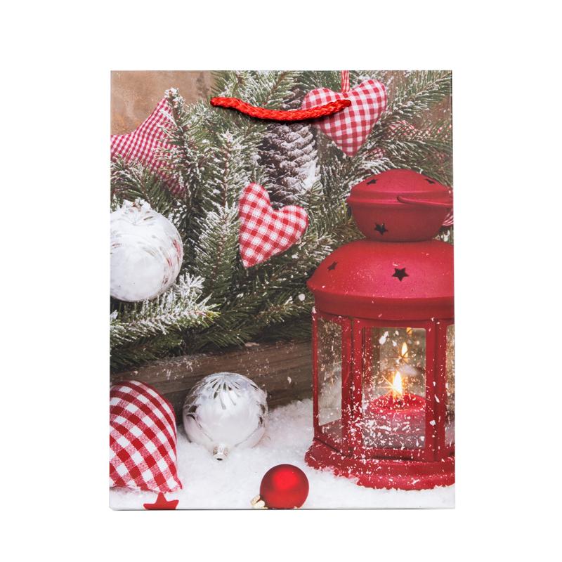 Подарочный пакет Accessories Новый Год PD31225-25 18*23*10 см 1 шт