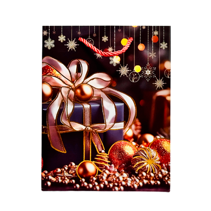 Подарочный пакет Accessories BK50120-22 18*23*10 см 1 шт