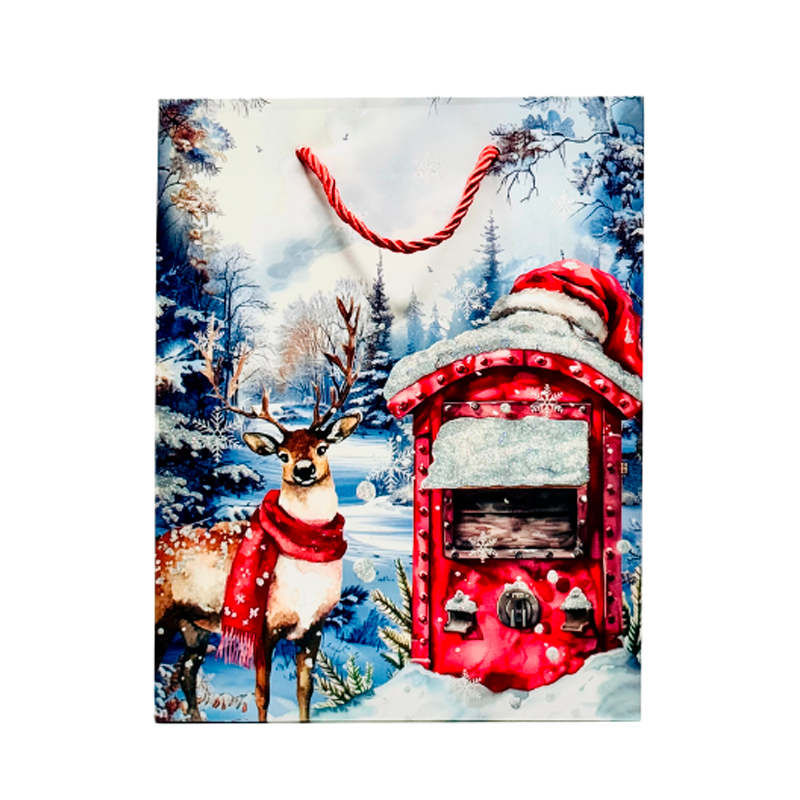 Подарочный пакет Accessories BK50120-106 18*23*10 см 1 шт