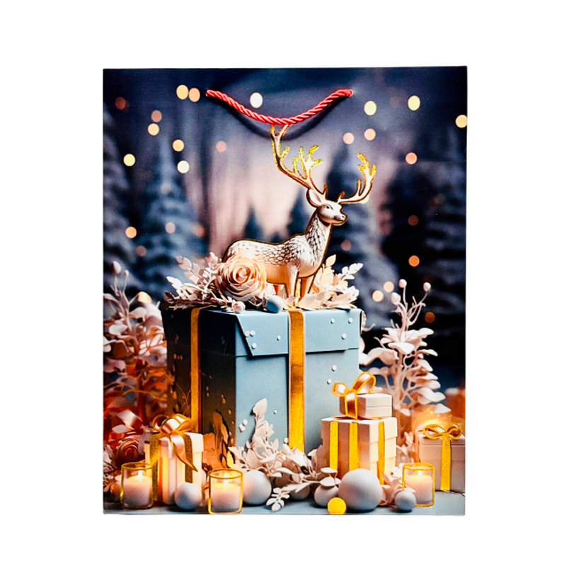 Подарочный пакет Accessories BK50120-110 26*32*10 см 1 шт