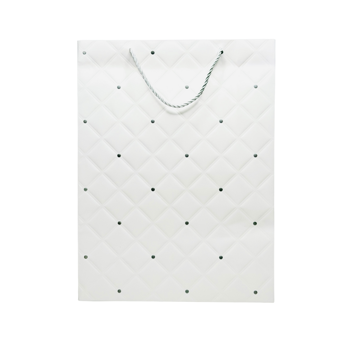 Подарочный пакет Accessories Пакет PGB50904-6