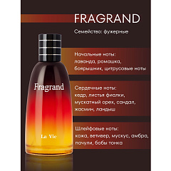 Мужская парфюмерная вода Dilis Fragrand 100 мл