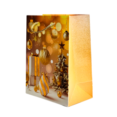 Подарочный пакет Accessories BK50120-16 18*23*10 см 1 шт