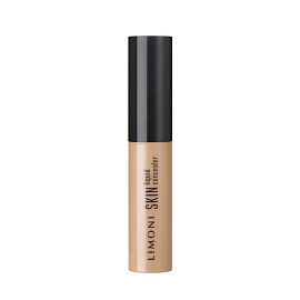 Skin Liquid Concealer 2 г