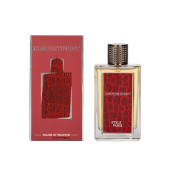 Мужская парфюмерная вода Style Paris L'Impertinent 100 мл