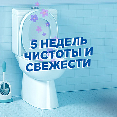 Чистящее средство для унитаза Туалетный Утенок Стикер Чистоты Цитрус 3 шт