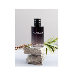 Мужская парфюмерная вода Dilis Courage 100 мл