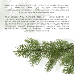 Мужская туалетная вода Parli Parfum Your Leader Way Invincible 100 мл