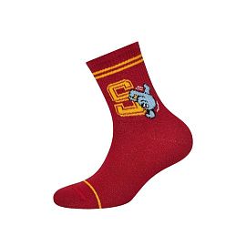 Calzino 21S02 Rosso р.27-30 1 пара