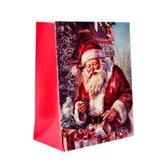 Подарочный пакет Accessories BK50120-139 18*23*10 см 1 шт