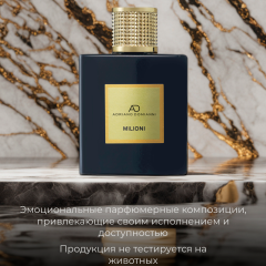 Мужская туалетная вода Adriano Domianni Milioni 100 мл