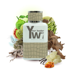 Мужская туалетная вода Parli Parfum Your Leader Way Ambitious 100 мл