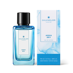 Мужская туалетная вода GALVANOLIORI Signature Aqua Sky 100 мл