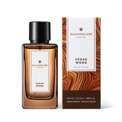 Мужская туалетная вода GALVANOLIORI Signature Cedar Wood 100 мл