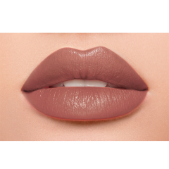 Помада для губ Divage Praline т.10 4 г