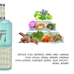 Мужская туалетная вода Parli Parfum Your Leader Way Invincible 100 мл