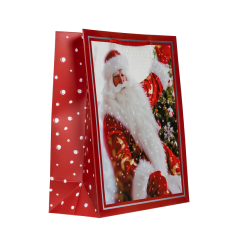 Подарочный пакет Accessories Новый Год PD31225-80 26*32*12 см 1 шт