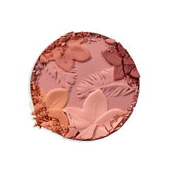 Румяна Physicians Formula Matte Monoi Butter 4,5 г