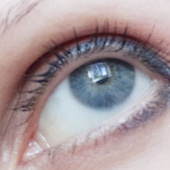 Тушь для ресниц влагостойкая Influence Beauty LASH SCAF Water-resistant  6 мл