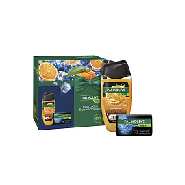 Цитрусовый Заряд и Северный Океан 250 мл+90 г