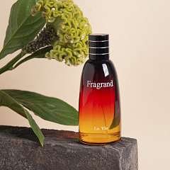 Мужская парфюмерная вода Dilis Fragrand 100 мл