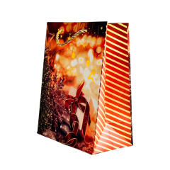 Подарочный пакет Accessories BK50120-40 18*23*10 см 1 шт