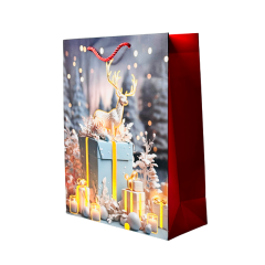 Подарочный пакет Accessories BK50120-110 26*32*10 см 1 шт