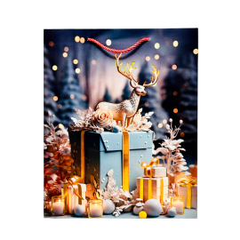 BK50120-110 26*32*10 см 1 шт