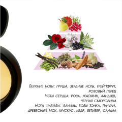 Женская туалетная вода Parli Parfum Your Look 95 мл