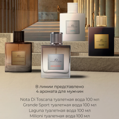 Мужская туалетная вода Adriano Domianni Milioni 100 мл