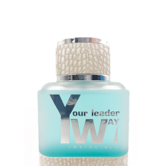 Мужская туалетная вода Parli Parfum Your Leader Way Invincible 100 мл