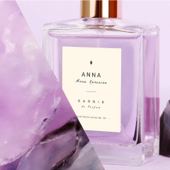 Женская туалетная вода Garnir Anna №02 50 мл
