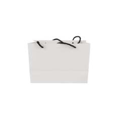 Подарочный пакет Accessories PGB50904-1, 16см*23см*9см Accessories PGB50904-1, 16см*23см*9см