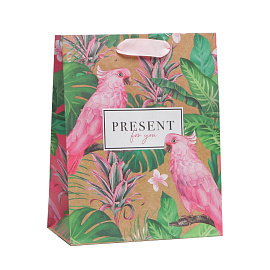 Present For You 18*23*8 см 1 шт