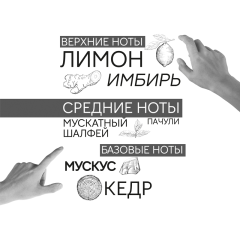 Мужская парфюмерная вода Art&Nose Composition №6 90 мл