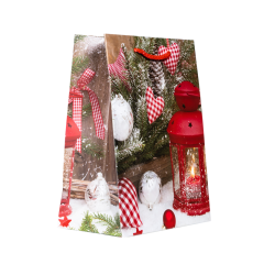 Подарочный пакет Accessories Новый Год PD31225-25 18*23*10 см 1 шт