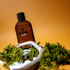 Мужская парфюмерная вода Zaragoza Silver 100 мл