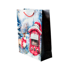 Подарочный пакет Accessories BK50120-107 26*32*10 см 1 шт