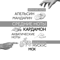 Мужская парфюмерная вода Art&Nose Composition №7 90 мл