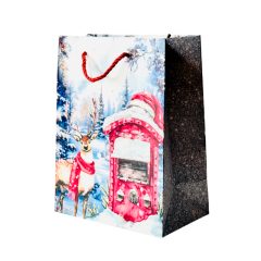 Подарочный пакет Accessories BK50120-106 18*23*10 см 1 шт