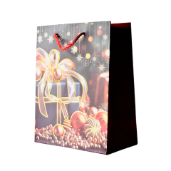 Подарочный пакет Accessories BK50120-22 18*23*10 см 1 шт